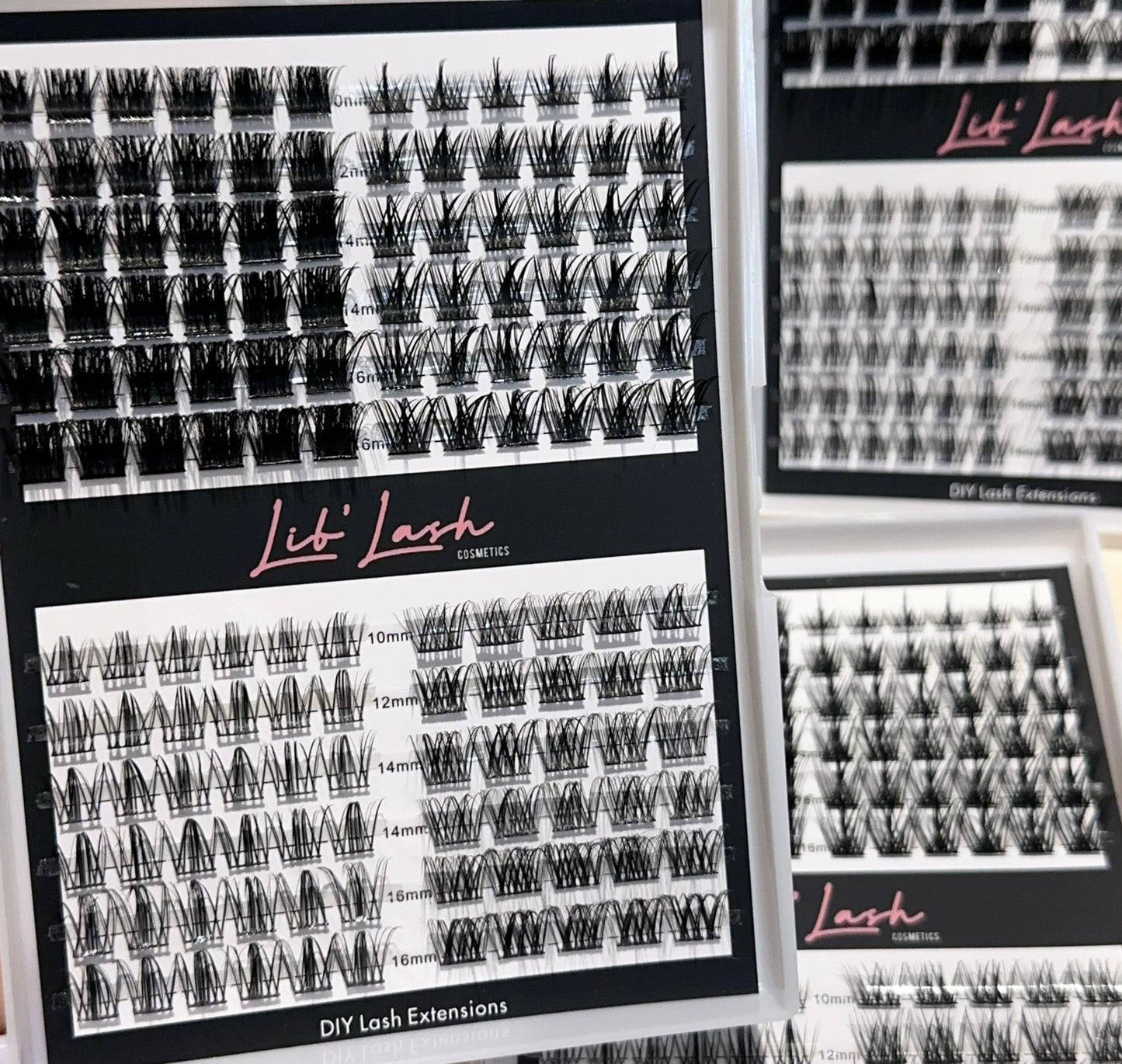 Lib'Lash Kit